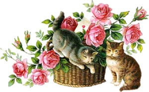 Котики з розами схема для вишивання