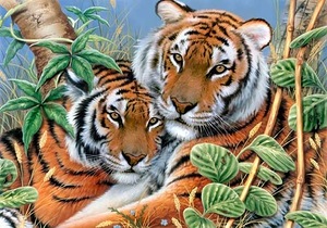 Тигри схема для вишивання