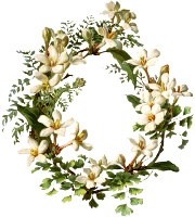 Вінок з білих квітів схема для вишивання