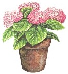 Квітучий вазон схема для вишивання