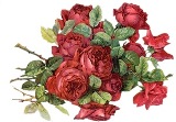 Червоні рози схема для вишивання