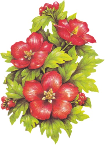  Червоні квіти схема для вишивання