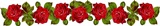 Бордюр з червоними розами схема для вишивання