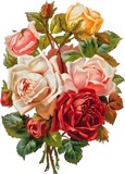 Букет троянд схема для вишивання