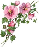 Кутик з розовими квітами схема для вишивання