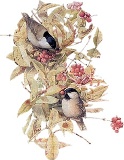 Птахи з ягодами схема для вишивання