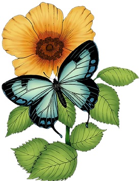 Метелик з квіткою схема для вишивання