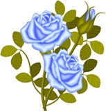 Голубі рози схема для вишивання