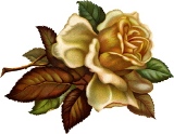 Осіння роза схема для вишивання