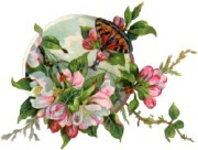 Метелик і розові квіти схема для вишивання