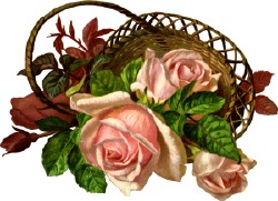 Осінні рози в кошику схема для вишивання